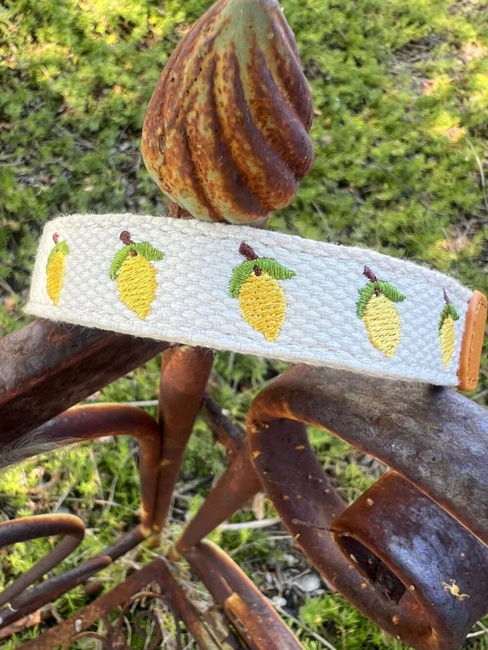 NWOT - Anthropologie Dog Collar - Icon - Lemons & Leather - Small